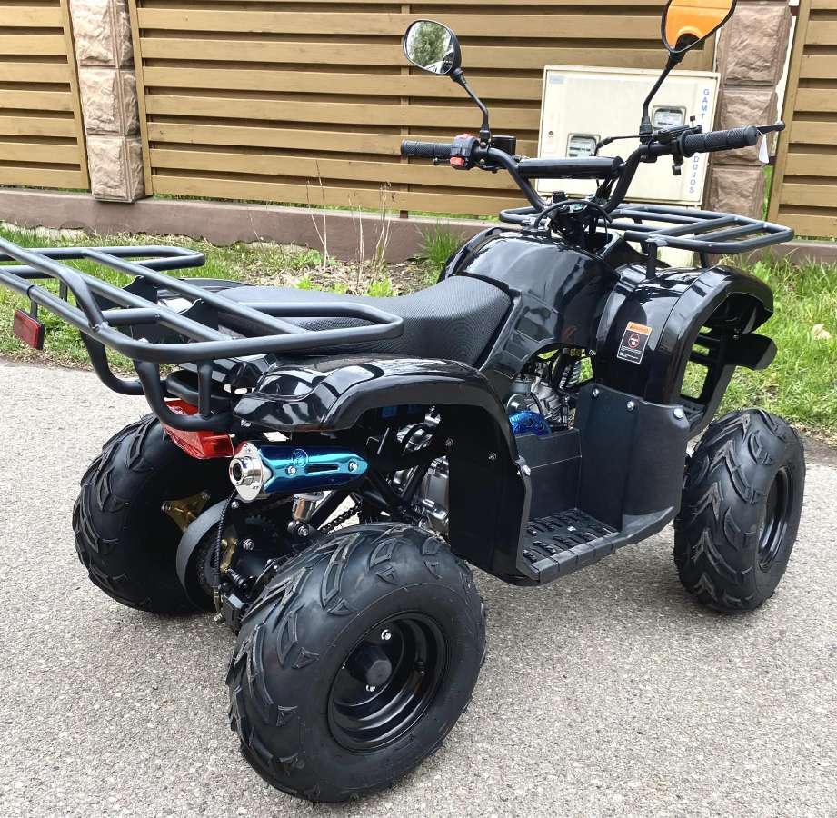 Yamaha Grizzly 130cc 2026m Pristatome per 3val - nuotraukos Nr. 4