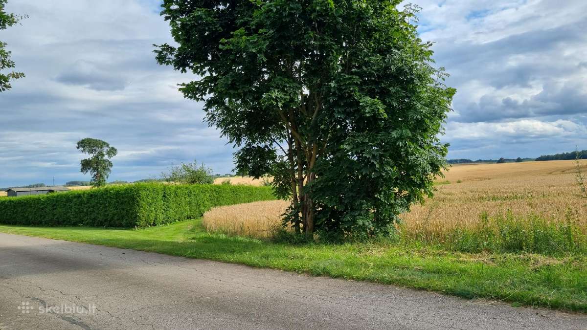 84 arų Nv sklypas Žinėnų km., Jonavos raj - nuotraukos Nr. 5