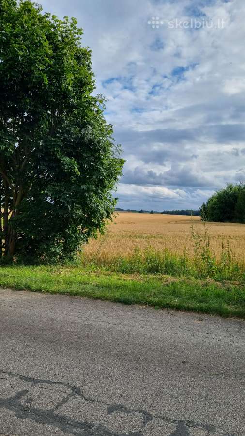 84 arų Nv sklypas Žinėnų km., Jonavos raj - nuotraukos Nr. 6