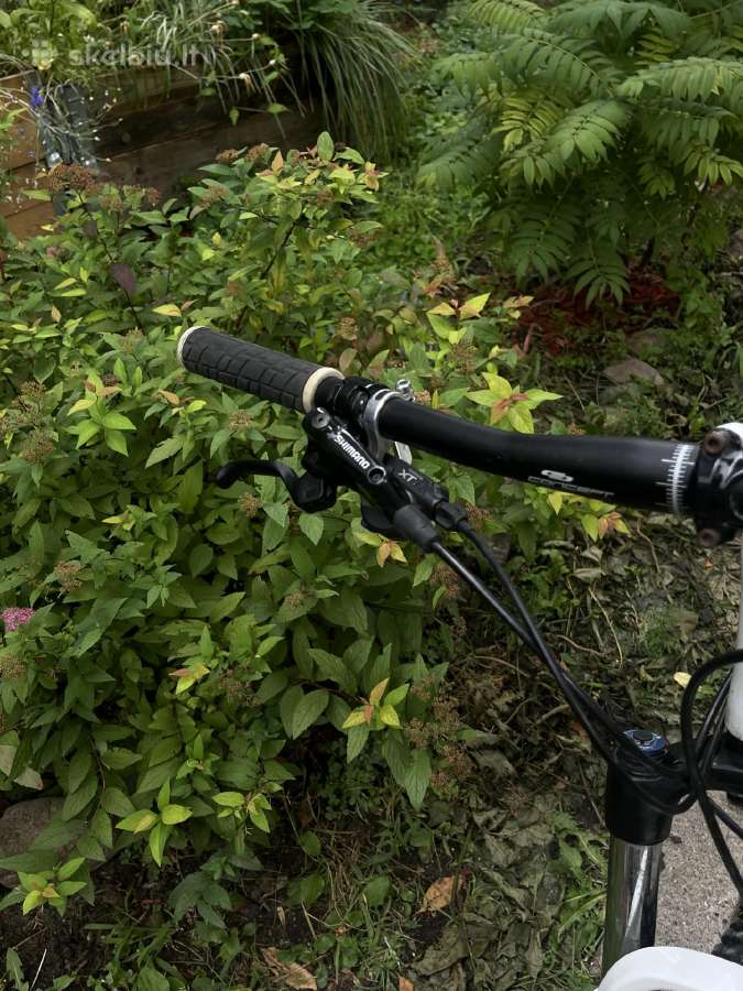 MTB dviratis Black Forest Focus - nuotraukos Nr. 5