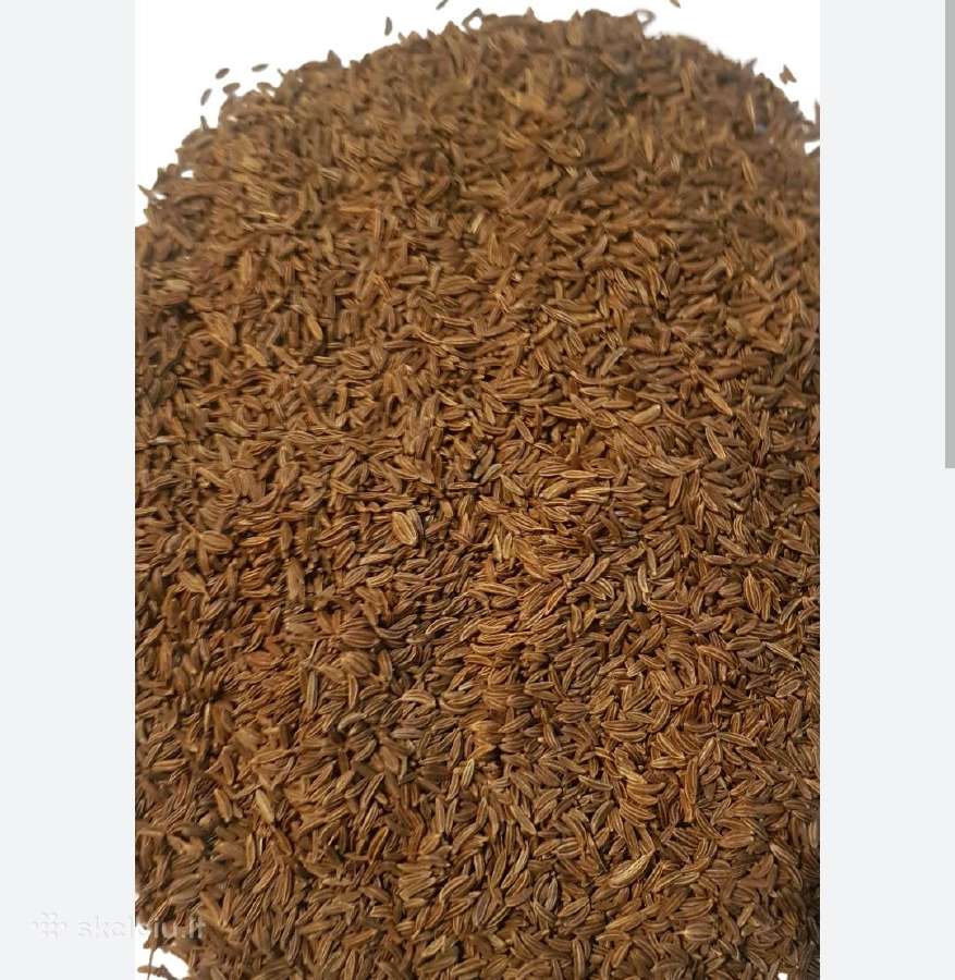 Parduodami kmynai - nuotraukos Nr. 2
