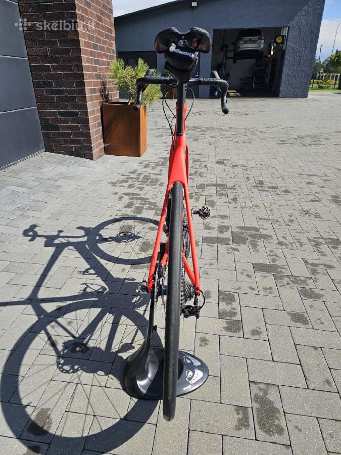 Giant Tsr - nuotraukos Nr. 3
