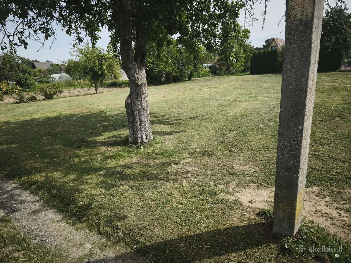 12a sodo sklypas - nuotraukos Nr. 2