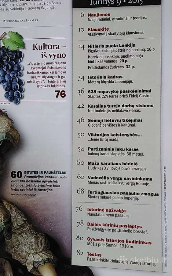 Iliustruotoji istorija 2015 m. nr. 9. - nuotraukos Nr. 2