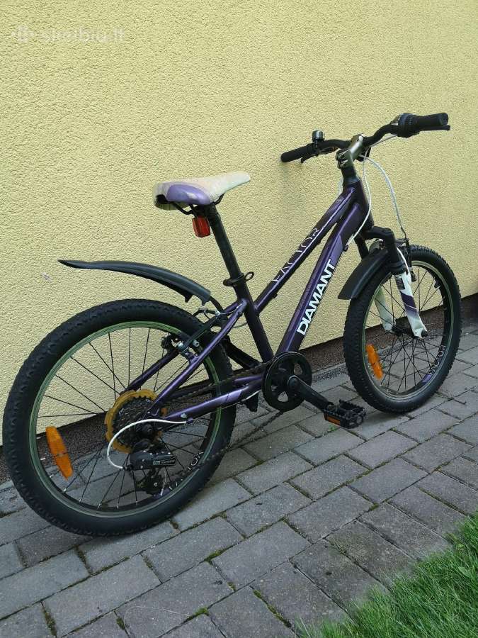 Gražus ir tvarkingas dviratukas (20 col. ratai) - nuotraukos Nr. 4