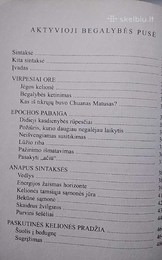 Sapnavimo menas. Aktyvioji begalybės pusė - nuotraukos Nr. 4
