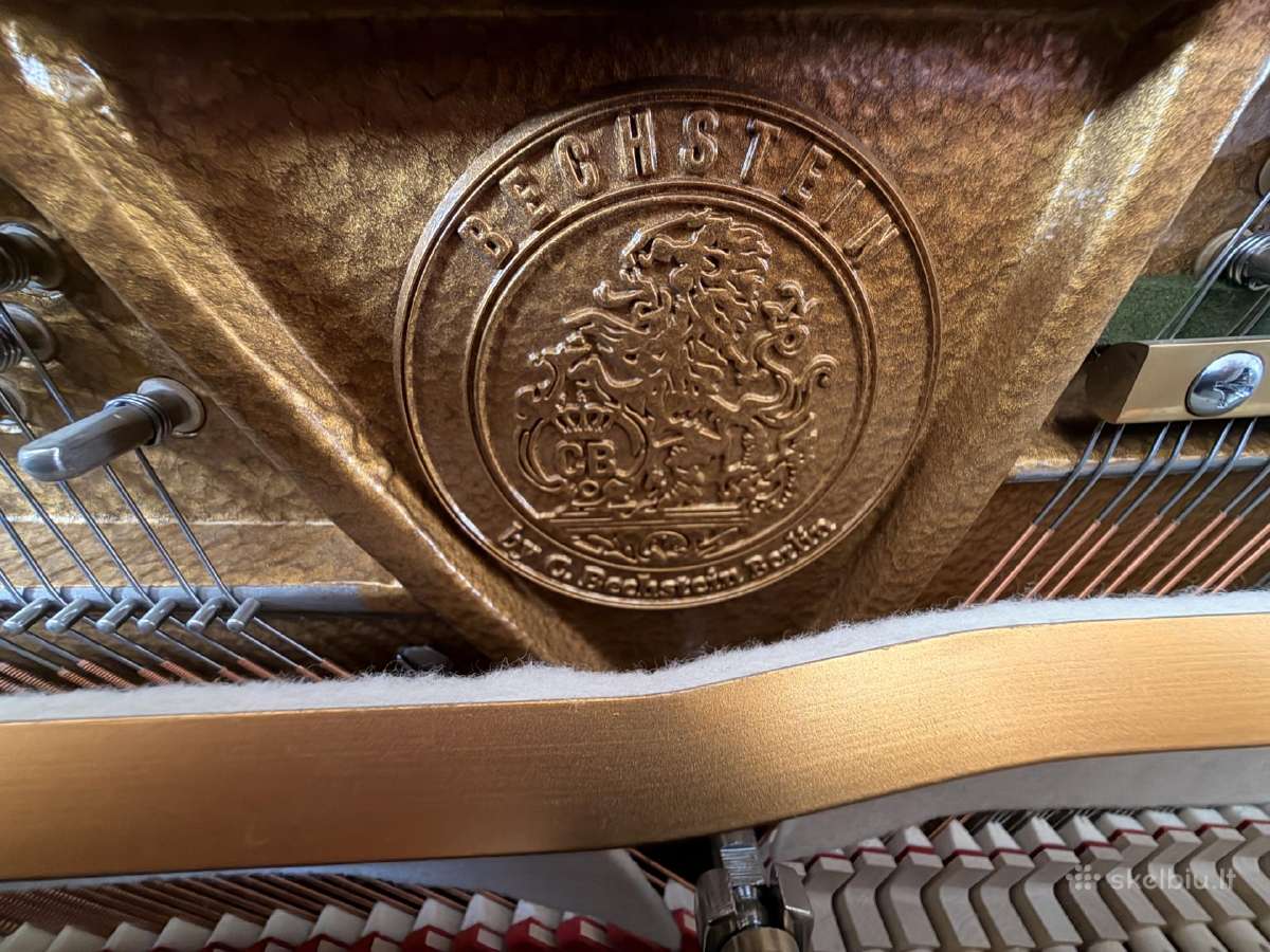 Aukščiausios klasės vokiškas pianinas C. Bechstein - nuotraukos Nr. 3