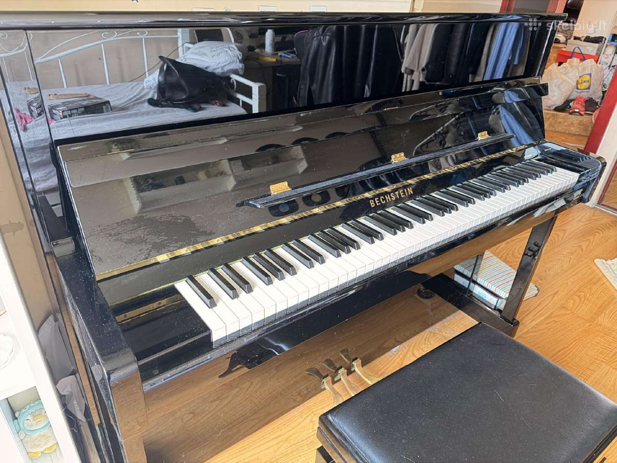 Aukščiausios klasės vokiškas pianinas C. Bechstein - nuotraukos Nr. 6