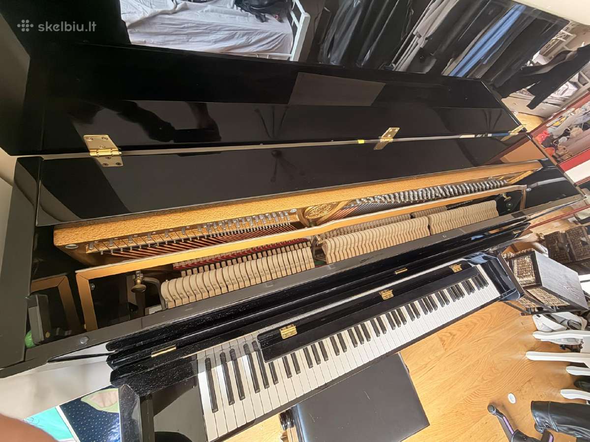 Aukščiausios klasės vokiškas pianinas C. Bechstein - nuotraukos Nr. 7