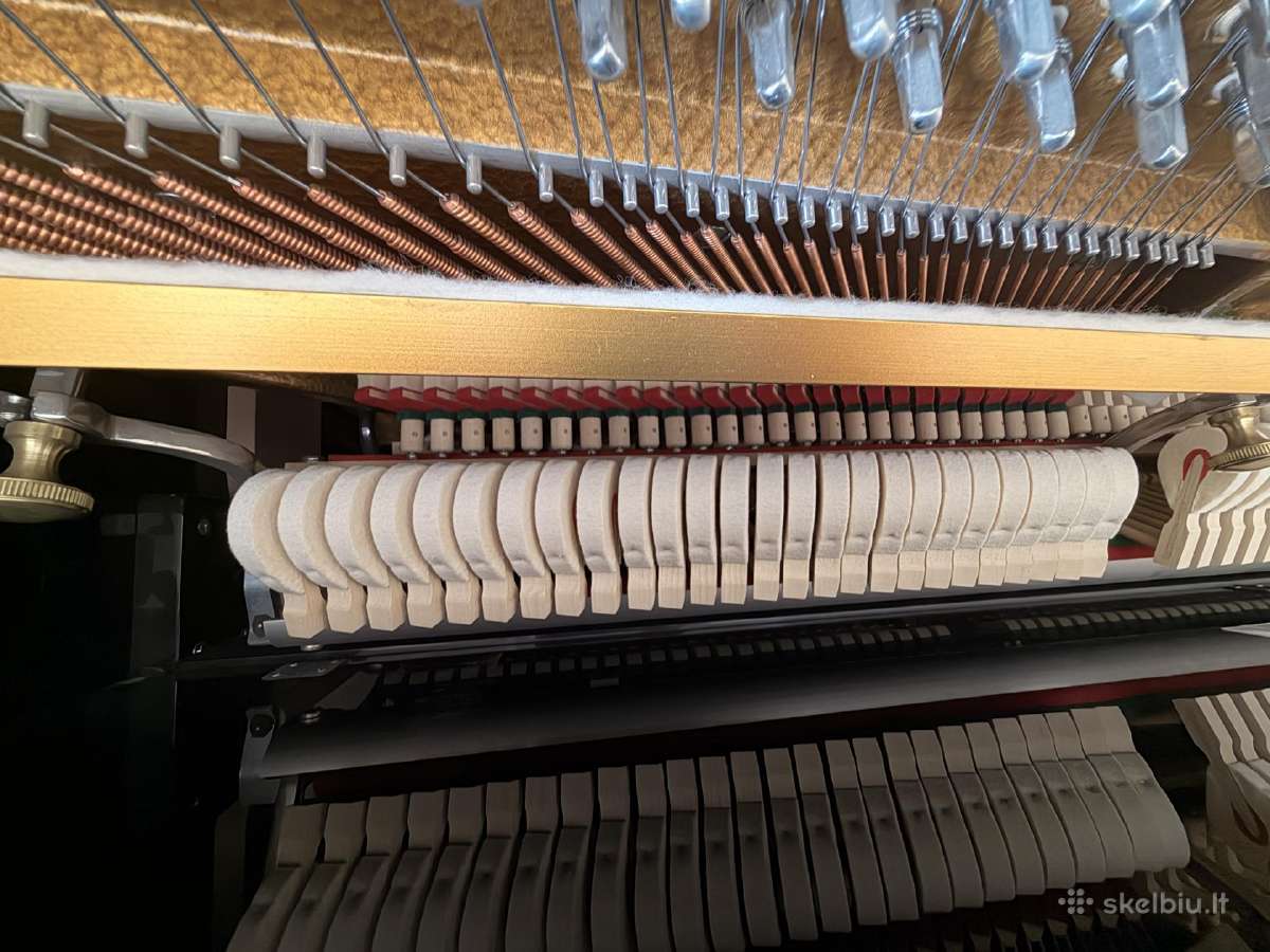 Aukščiausios klasės vokiškas pianinas C. Bechstein - nuotraukos Nr. 8