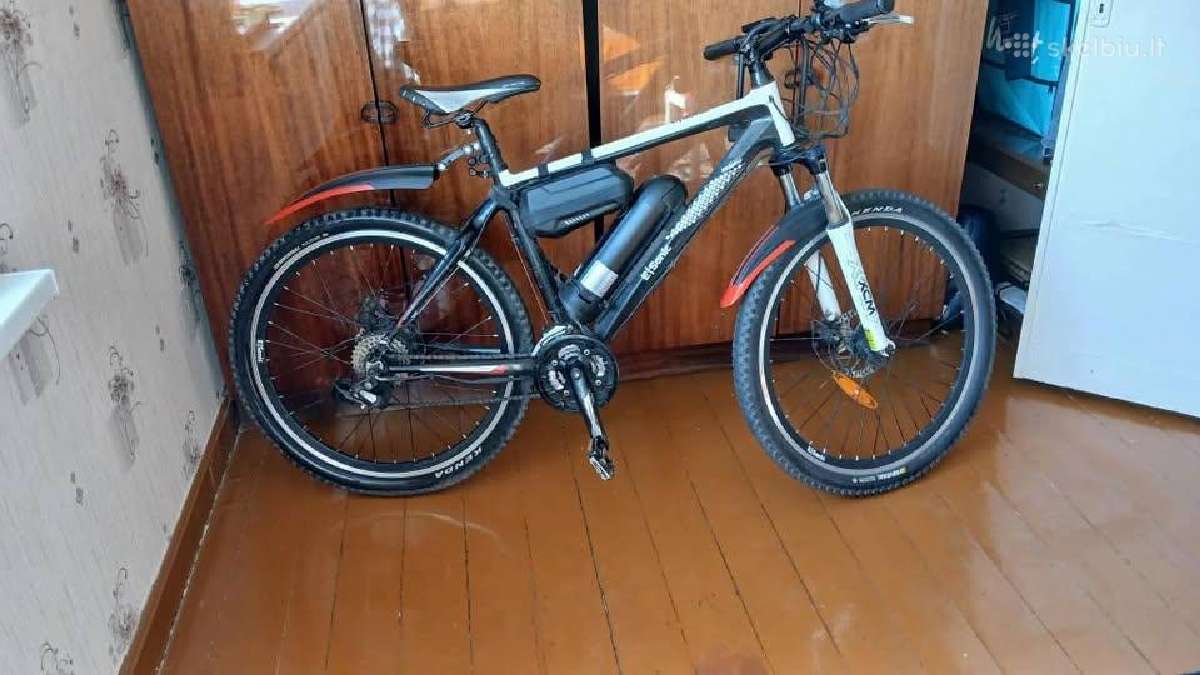 E-sonic Electric Bicycle (Carbon Frame) - nuotraukos Nr. 3