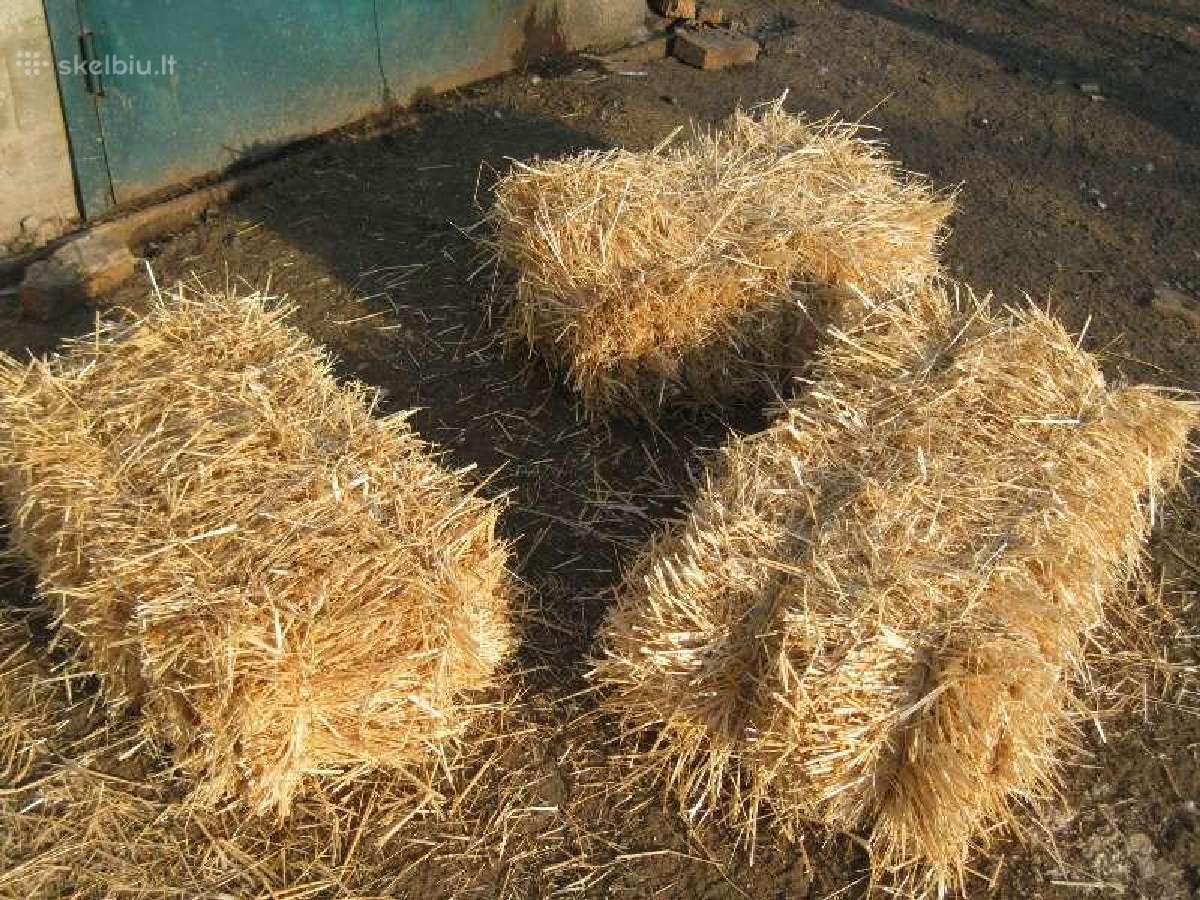 Avižos 40kg - nuotraukos Nr. 4