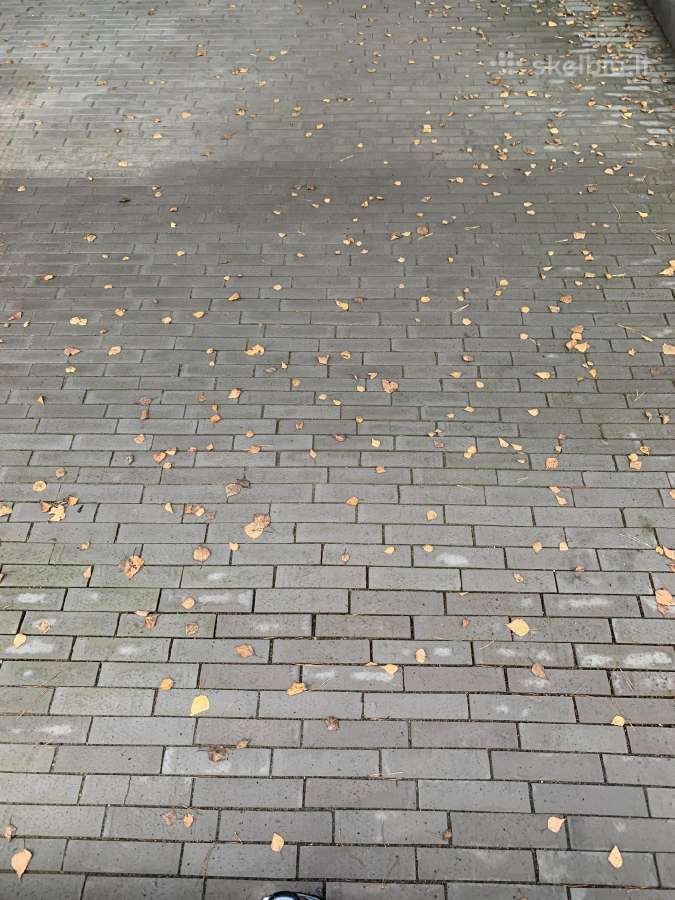 Plytų viduriukai tvoroms trinkelėms sienoms - nuotraukos Nr. 2