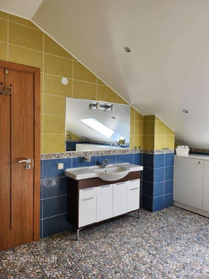 Panevežys šalia miško - nuotraukos Nr. 10