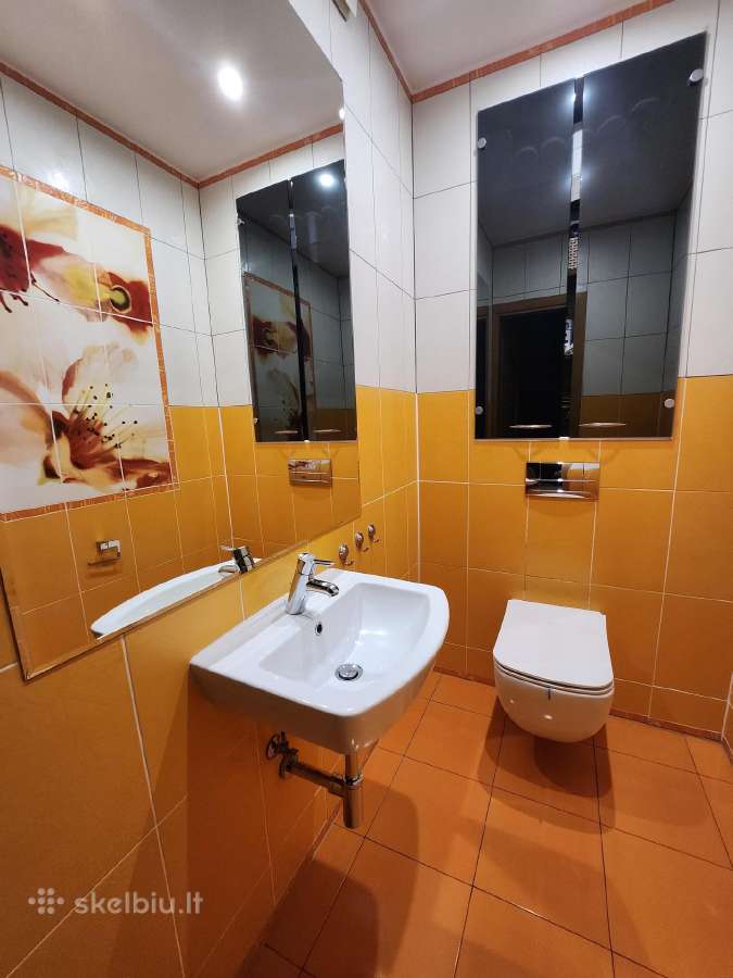 Panevežys šalia miško - nuotraukos Nr. 8