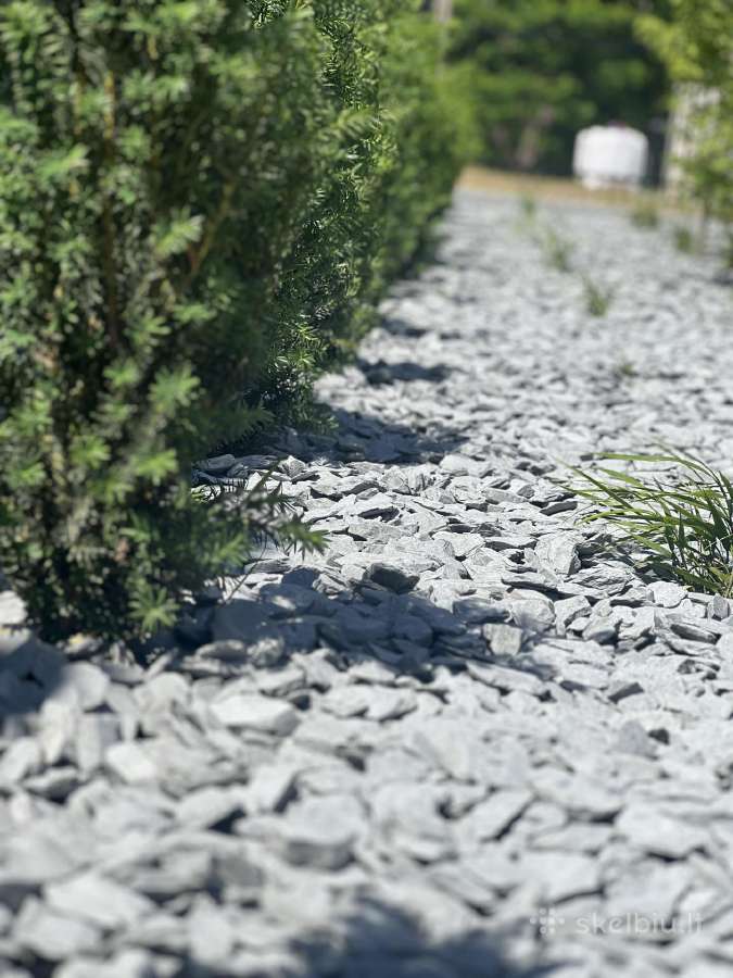 Apželdinimo darbai ir augalų priežiūra - nuotraukos Nr. 7