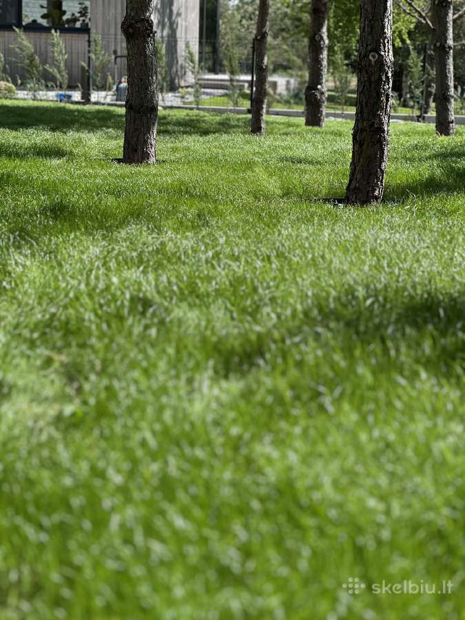 Apželdinimo darbai ir augalų priežiūra - nuotraukos Nr. 9