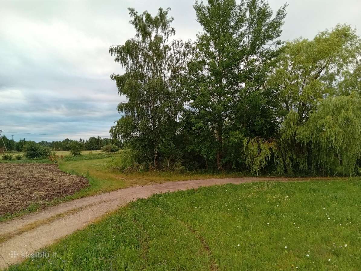 Sodo sklypas - nuotraukos Nr. 3