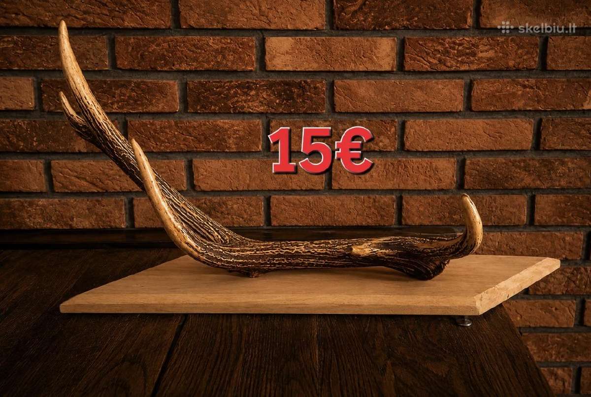 Dekoratyviniai ragai - nuotraukos Nr. 3