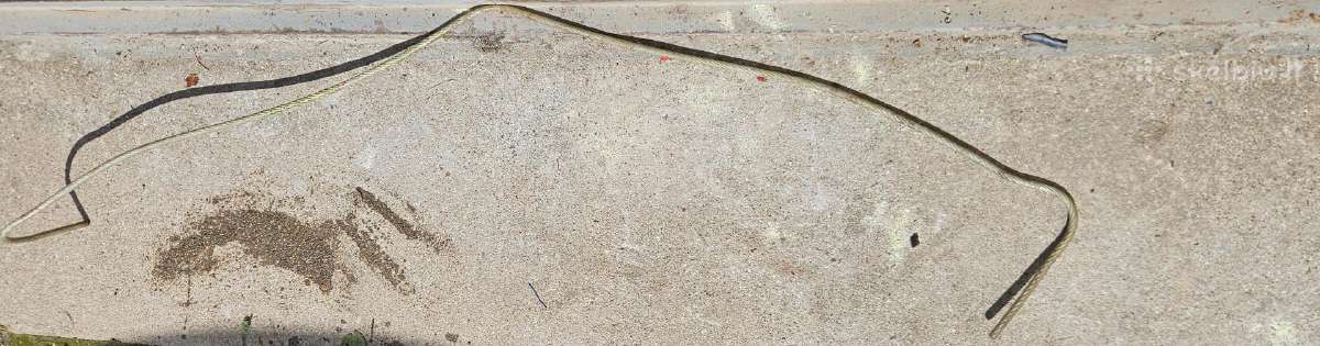 Trosas dengtas Pvc plastiku 1,5m., skersmuo 8mm - nuotraukos Nr. 2