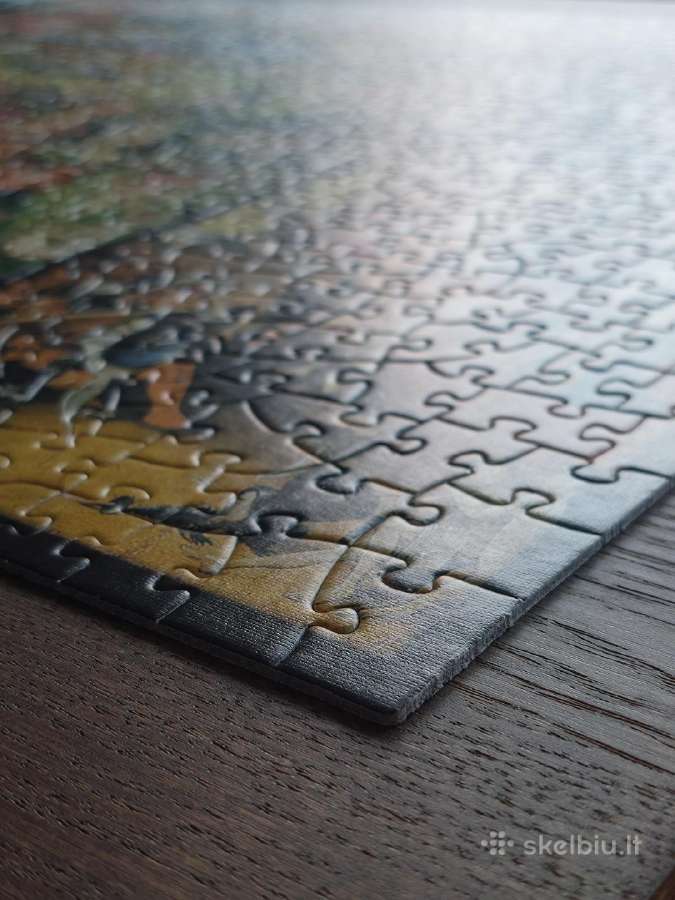 Hieronymus Bosch puzzle - nuotraukos Nr. 9