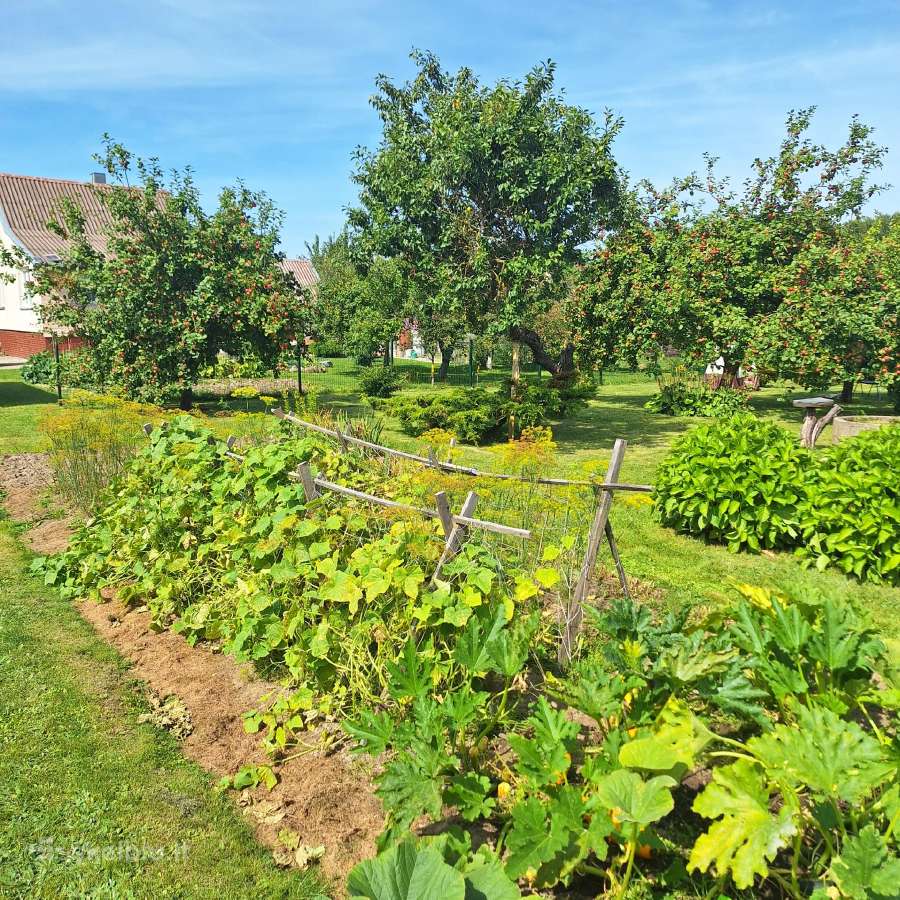 Parduodamas žemės sklypas - nuotraukos Nr. 10