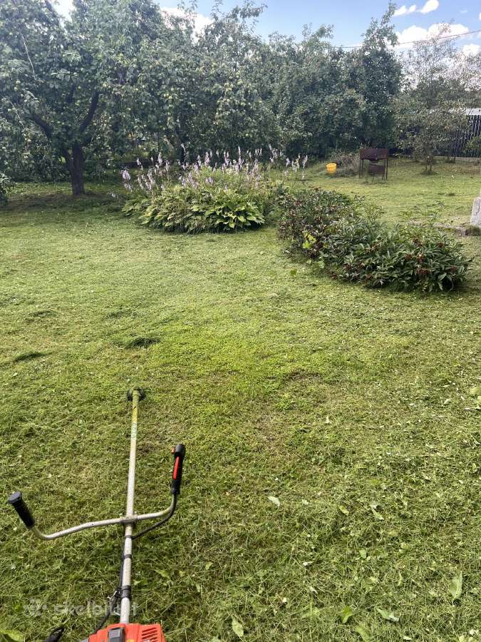 Sklypų valymas,žolės pjovimas,krūmų,medžių pjovima - nuotraukos Nr. 6