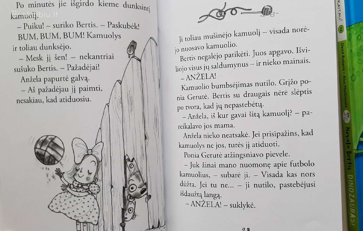 Nevala Bertis - nuotraukos Nr. 3