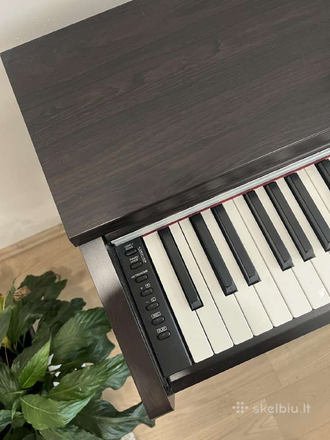 Elektrinis pianinas Yamaha Arius- 142 - nuotraukos Nr. 3