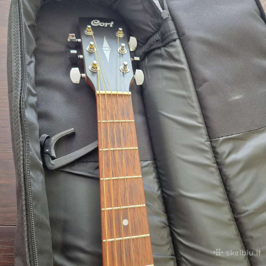 Gitara - nuotraukos Nr. 3