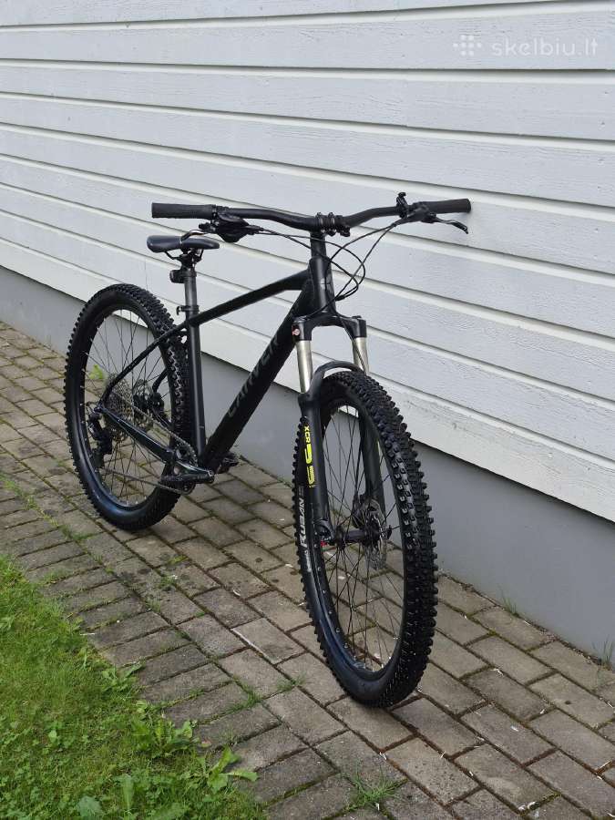 Carver strict 150 kalnų dviratis - nuotraukos Nr. 3