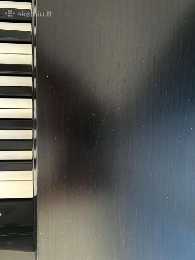 Yamaha Arius-ydp 141 - nuotraukos Nr. 7