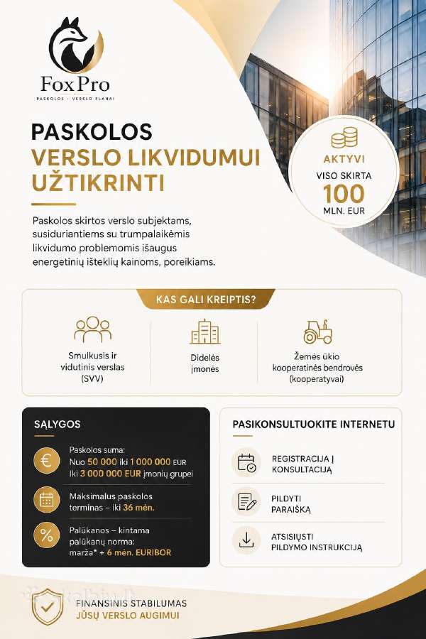 Verslo planaipaskolosinvesticiniai projektai - nuotraukos Nr. 3