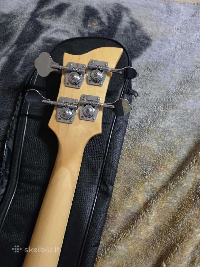 Bosinė gitara - nuotraukos Nr. 5