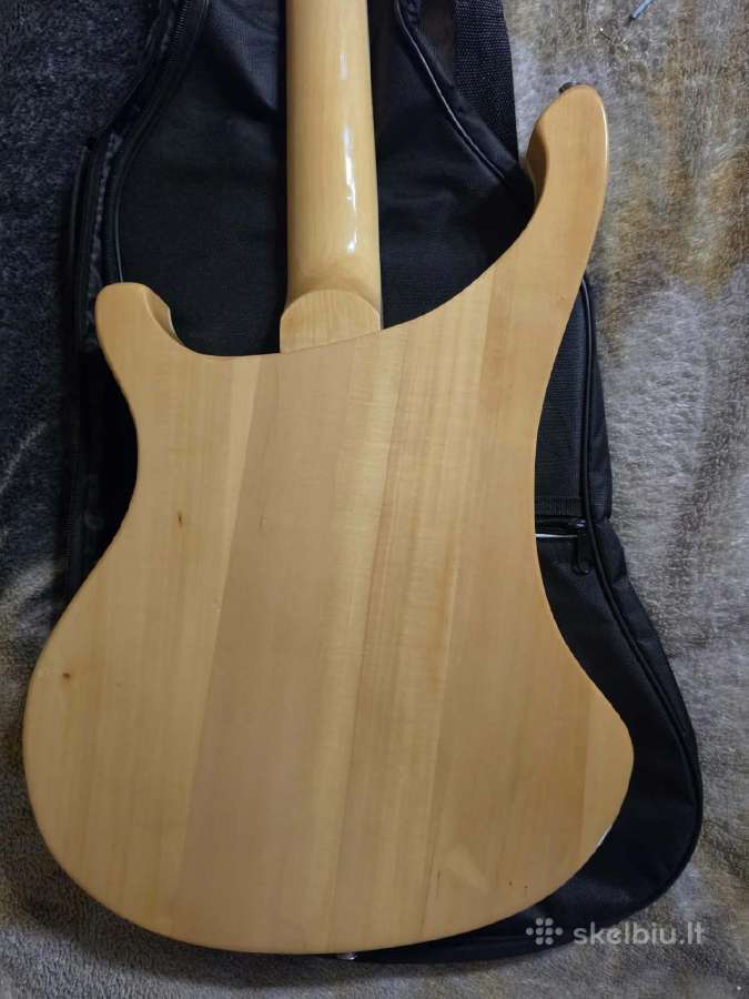 Bosinė gitara - nuotraukos Nr. 9