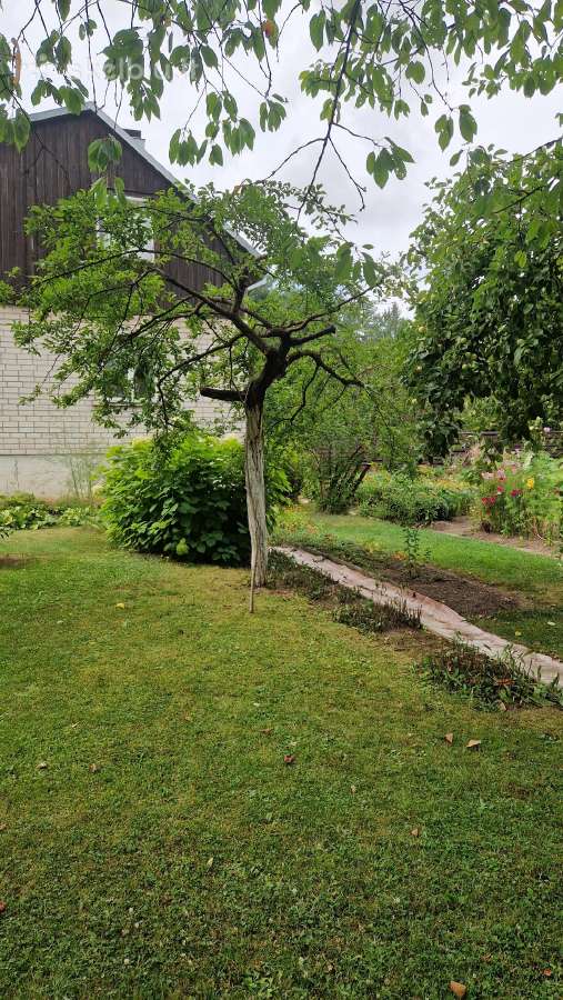 Parduodu sodą 'Sankryžos" bendrijoje - nuotraukos Nr. 3
