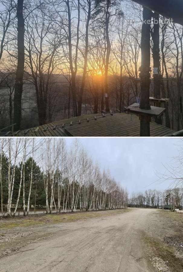 Parduodamas parkas - sodyba - nuotraukos Nr. 25
