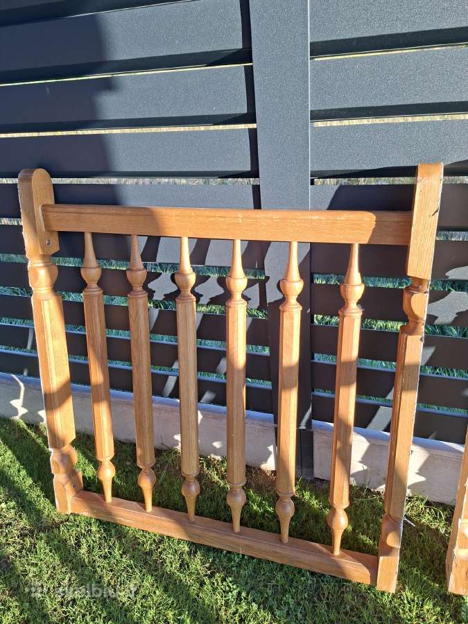 Ąžuoliniai lporaniai - nuotraukos Nr. 9