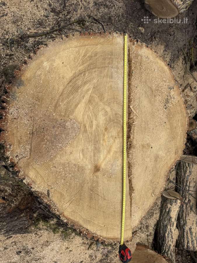 Parduodu ąžuola - nuotraukos Nr. 2