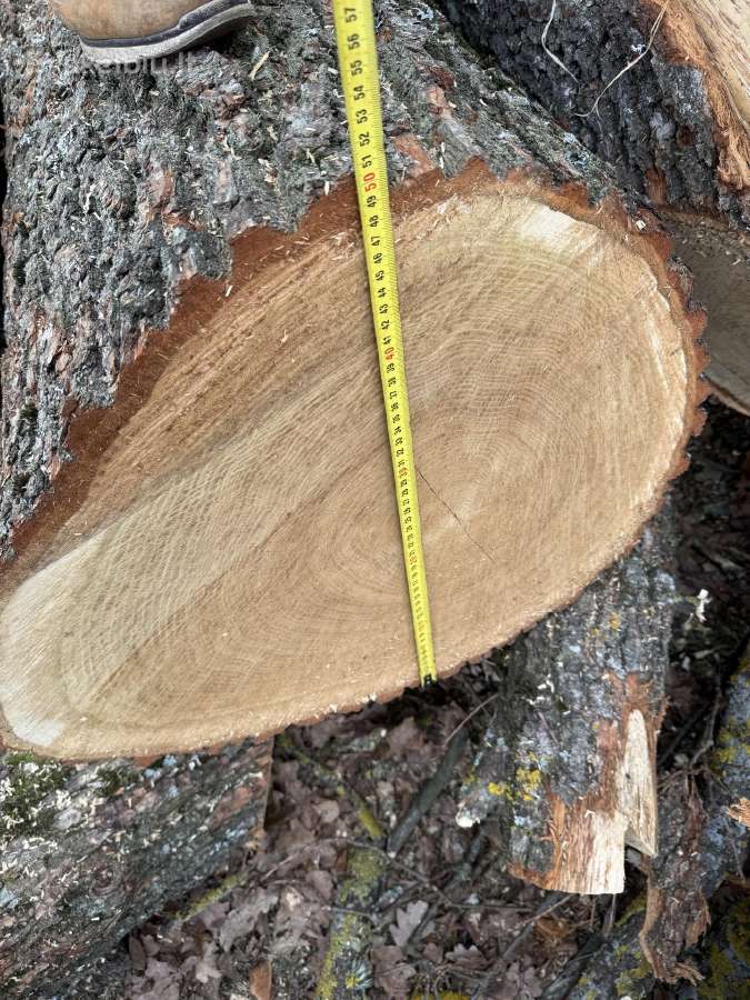 Parduodu ąžuola - nuotraukos Nr. 16