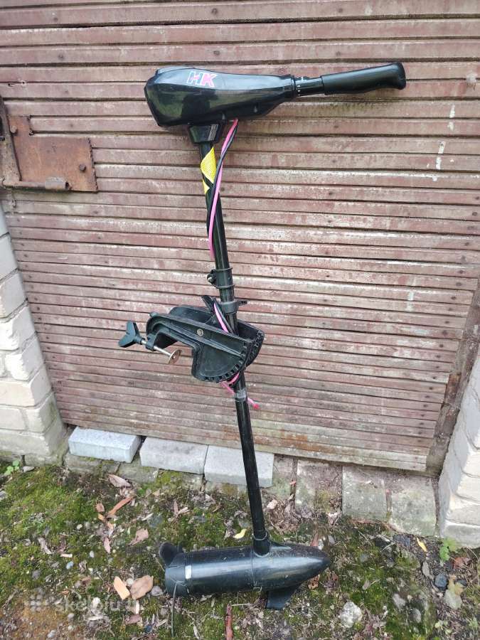 Elektrinis valies variklis - nuotraukos Nr. 3