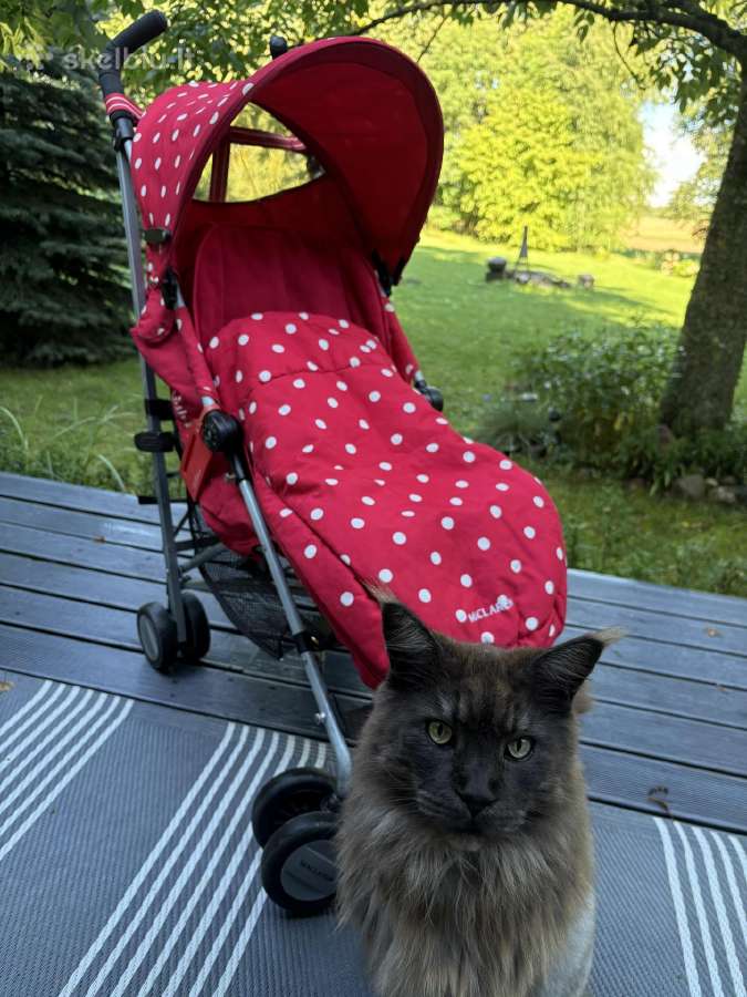 Maclaren Quest / Cath Kidston Red Spot. - nuotraukos Nr. 3