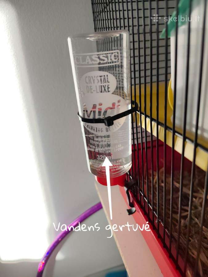 Graužikų narvas su 2 džiungarijos žiurkėnais - nuotraukos Nr. 4