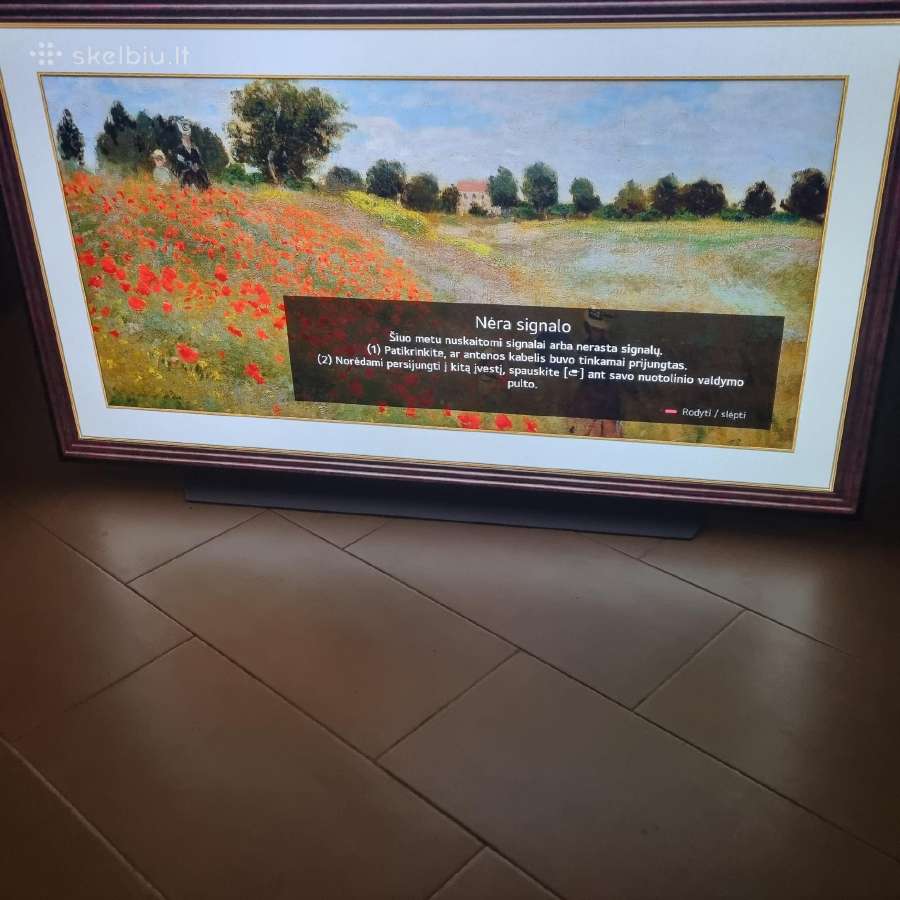 LG Oled 65cx - nuotraukos Nr. 3