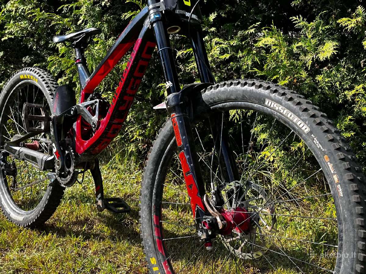 Polygon collosus Dh9 Team 2019m - nuotraukos Nr. 3