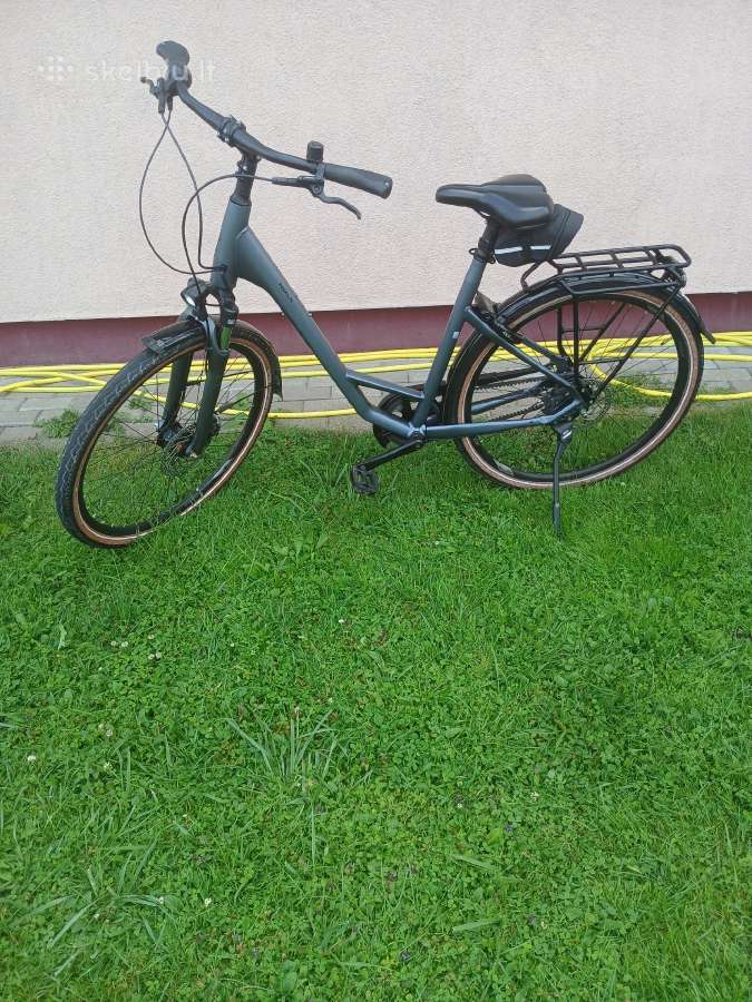 Pegasus premio SL - nuotraukos Nr. 3