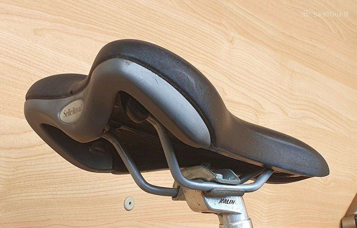 Paprastas Selle Royal balnelis - nuotraukos Nr. 2
