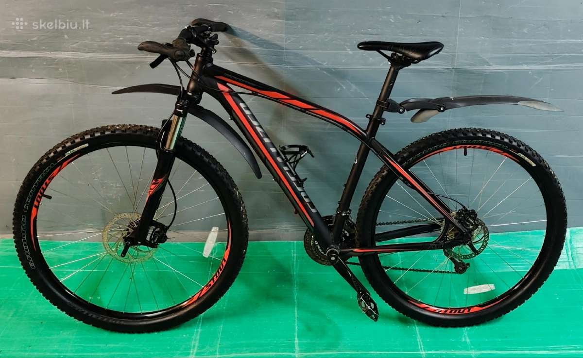 MTB ( Specialized ) - nuotraukos Nr. 8