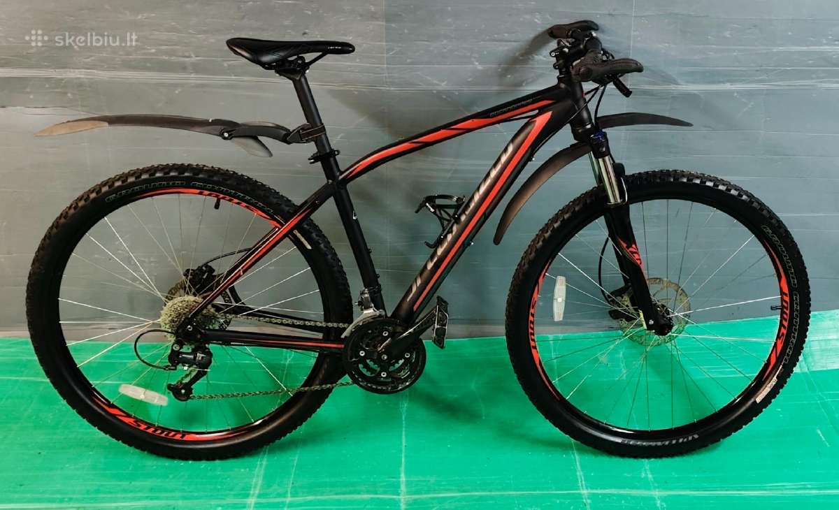 MTB ( Specialized ) - nuotraukos Nr. 7