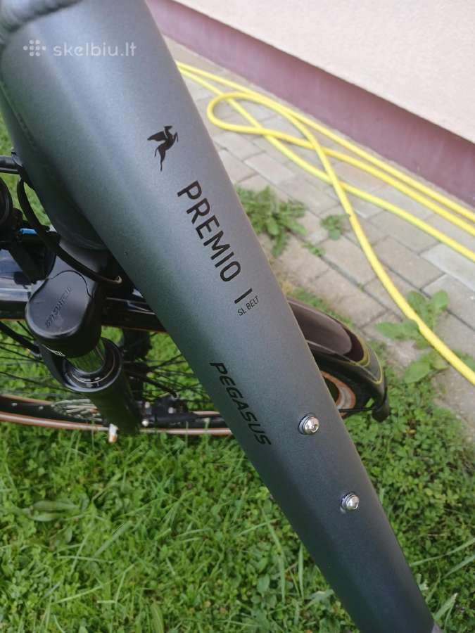 Pegasus premio SL - nuotraukos Nr. 5